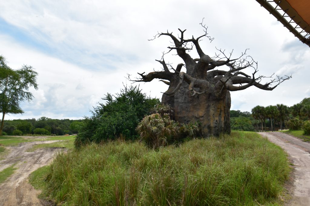 Disney Thursday – Recent trip to Disney’s Animal Kingdom at Disney World Thumbnail