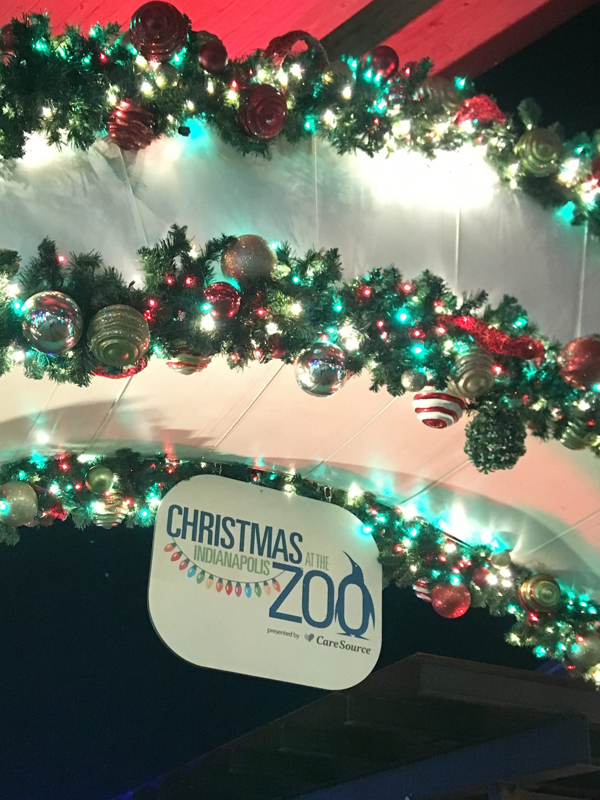 A Winters Night at the Indianapolis Zoo
