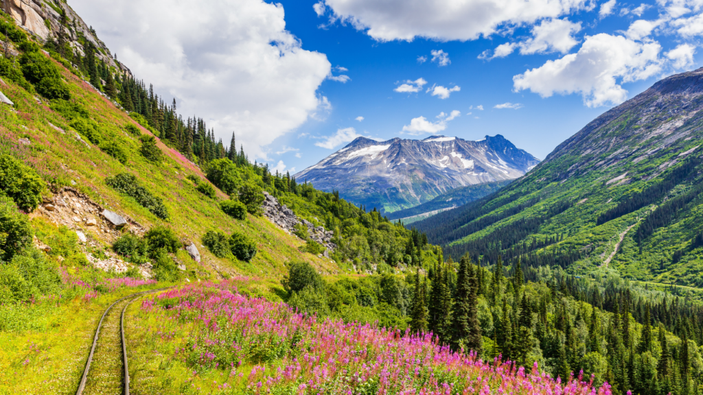 Alaska: Denali & Voyage of the Glaciers