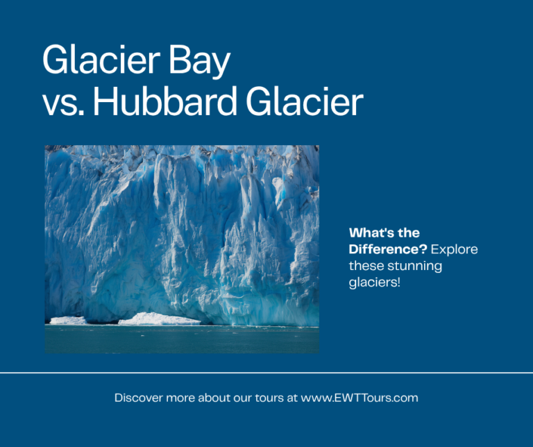 Glacier Bay vs. Hubbard Glacier: What’s the Difference?
